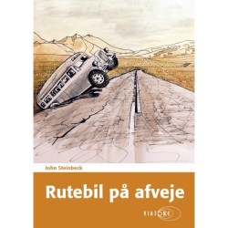 Rutebil på afveje