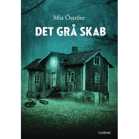 Det grå skab