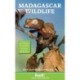 Madagascar Wildlife