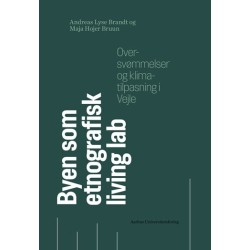 Byen som etnografisk living lab: Oversvømmelser og klimatilpasning i Vejle