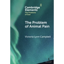 The Problem of Animal Pain