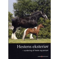 Hestens eksteriør: Vurdering af heste og ponyer