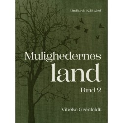 Mulighedernes land. Bind 2