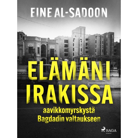 Elämäni Irakissa: aavikkomyrskystä Bagdadin valtaukseen