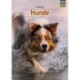 Hunde