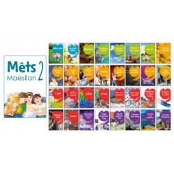 Mets Maesllan 2