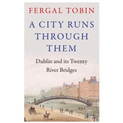 A City Runs Through Them: Dublin and its Twenty River Bridges