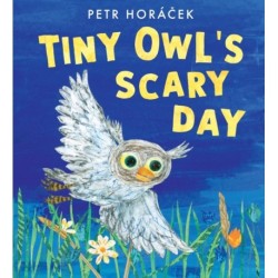 Tiny Owl's Scary Day