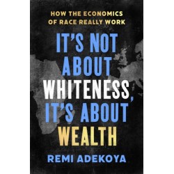 It's Not About Whiteness, It's About Wealth: How the Economics of Race Really Work