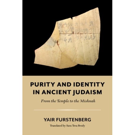 Purity and Identity in Ancient Judaism: From the Temple to the Mishnah