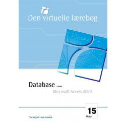 Udvidet database, MS Access 2000