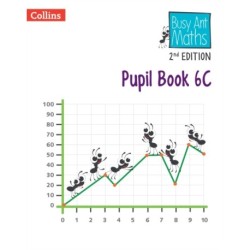 Pupil Book 6C