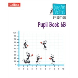 Pupil Book 6B