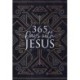 365 Days with Jesus