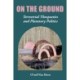 On the Ground: Terrestrial Theopoetics and Planetary Politics