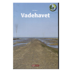 Vadehavet