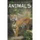 1111 Amazing Facts about Animals: Dinosaurs, Dogs, Lizards, Insects, Sharks, Cats, Birds, Horses, Snakes, Spiders, Fish and More!