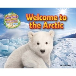 Welcome to the Arctic