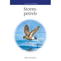 The Storm-petrels