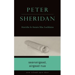 Seanairgead, Airgead Nua