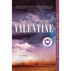 Valentine: A Novel