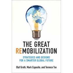 The Great Remobilization: Strategies and Designs for a Smarter Global Future