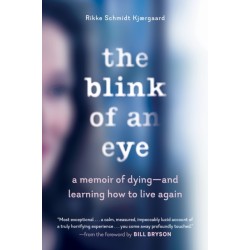The Blink of an Eye - A Memoir of Dying - and Learning How to Live Again: A Memoir of Dying and Learning How to Live Again