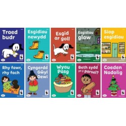 Llyfrau Hwyl Magi Ann – Cam 4 Llyfrau Dicw