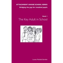 The Attachment Aware School Series: Bridging the Gap for Troubled Pupils
