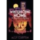 Winterborne Home for Mayhem and Mystery