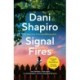 Signal Fires: The addictive new novel about secrets and lies from the New York Times bestseller