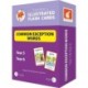 Common Exception Words Flash Cards: Year 5 and Year 6 Words - Perfect for Home Learning - with 102 Colourful Illustrations