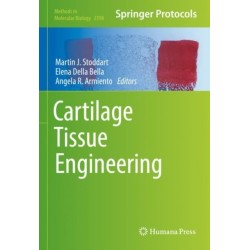 Cartilage Tissue Engineering