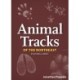 Animal Tracks of the Northeast Playing Cards