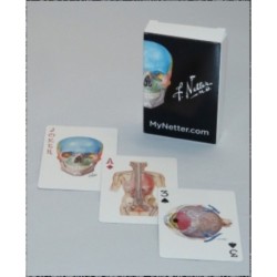 Netter Playing Cards: Netter's Anatomy Art Card Deck (Single Pack)