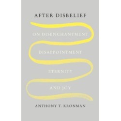 After Disbelief: On Disenchantment, Disappointment, Eternity, and Joy
