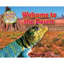 Welcome to the Desert