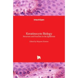 Keratinocyte Biology: Structure and Function in the Epidermis