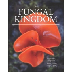 The Fungal Kingdom