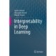 Interpretability in Deep Learning