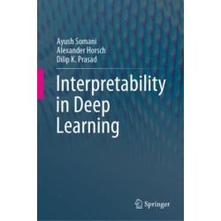 Interpretability in Deep Learning