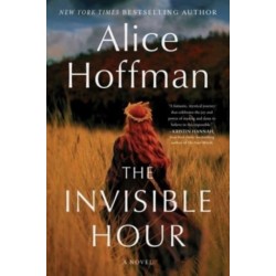 The Invisible Hour: A Novel