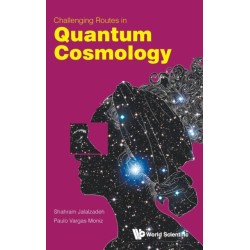 Challenging Routes In Quantum Cosmology