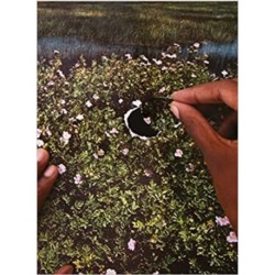 RE/SISTERS: A Lens on Gender and Ecology