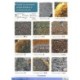 Guide to Common Urban Lichens