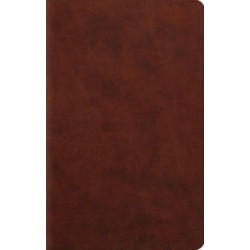 ESV Large Print Personal Size Bible, Red Letter
