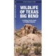 Texas Big Bend, Wildlife of: A Folding Pocket Guide to Familiar Animals