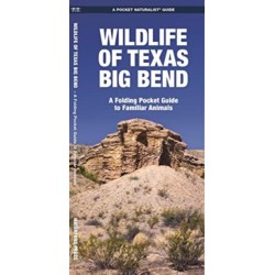 Texas Big Bend, Wildlife of: A Folding Pocket Guide to Familiar Animals