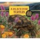 A Place for Turtles