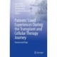 Patients’ Lived Experiences During the Transplant and Cellular Therapy Journey: Harvest and Hope